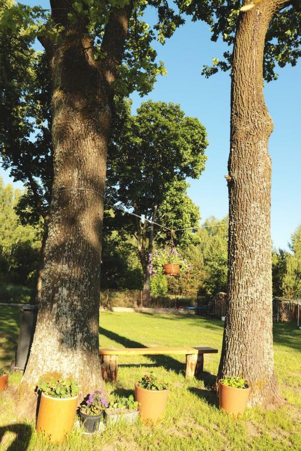 Pod Debami - Pokoje Na Mazurach Vila Wydminy Exterior foto