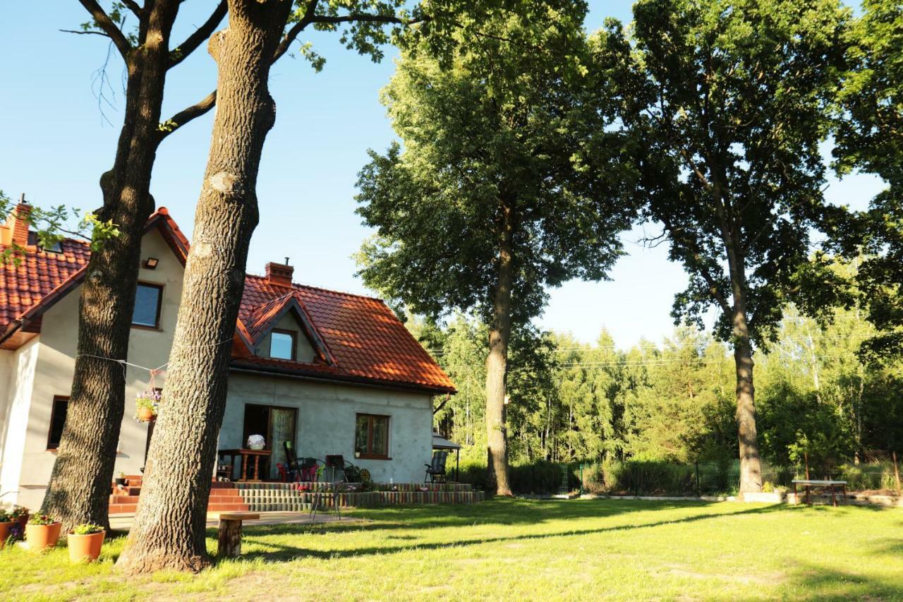 Pod Debami - Pokoje Na Mazurach Vila Wydminy Exterior foto